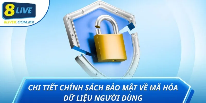 chính sách bảo mật