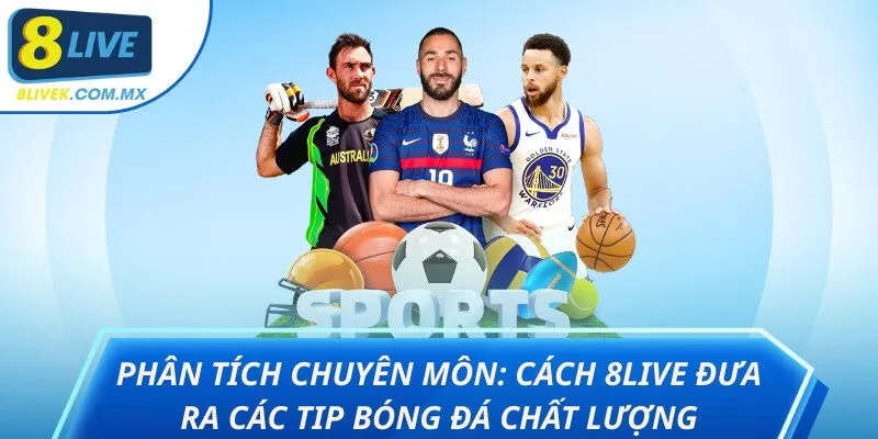 Tip bóng đá