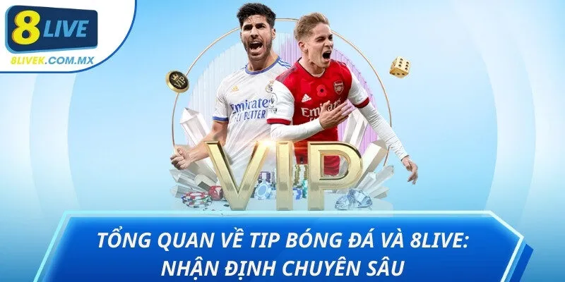 Tip bóng đá